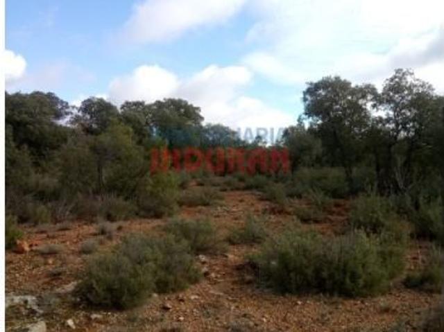 Finca de 554 ha con 60 ha de labor secano, resto de monte en Alhambra Ciudad