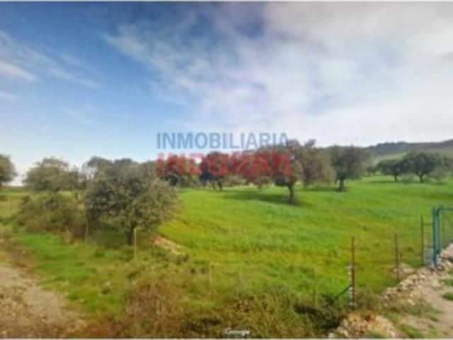 Finca de 64 ha de caza mayor y de recreo en Cabañas del Castillo