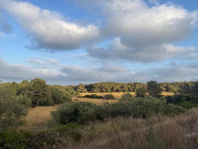 Finca de 6.000 m2 en El Garraf con Dos Viviendas y Gran Potencial