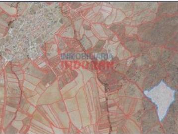Finca de 6,3 ha, cerrada parte con paredes de piedra en Villar del Pedroso