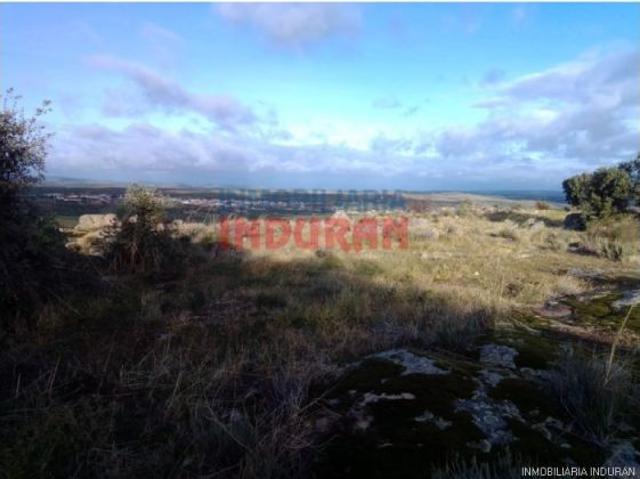 Finca de 6,3 ha, cerrada parte con paredes de piedra en Villar del Pedroso