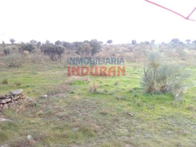 Finca de 9 hectáreas, parte cerrada, con algunas encinas y ganadera en Villar