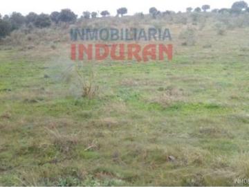 Finca de 9 hectáreas, parte cerrada, con algunas encinas y ganadera en Villar
