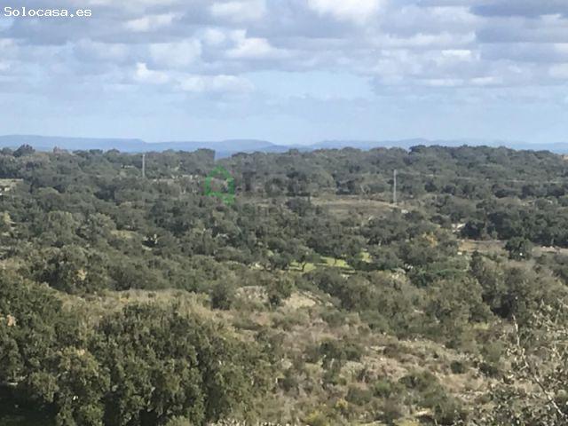 FINCA DE 11 HECTÁREAS EN SAN VICENTE DE ALCÁNTARA