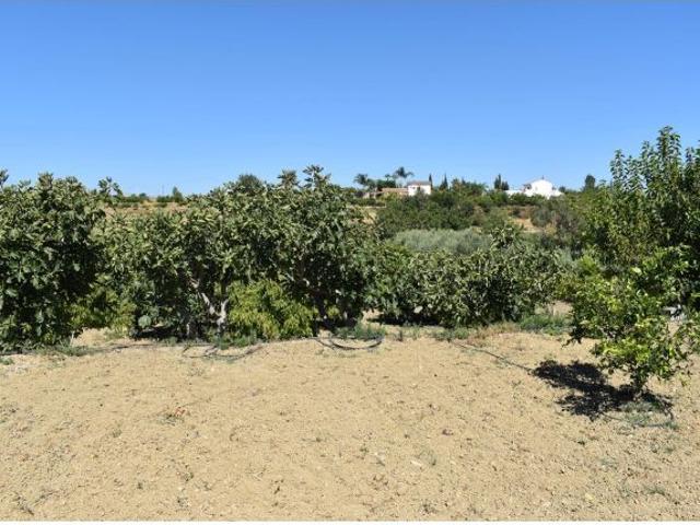 FINCA DE 14.000M2 DE TERRENO IDEAL PARA AMANTES DE LOS CABALLOS