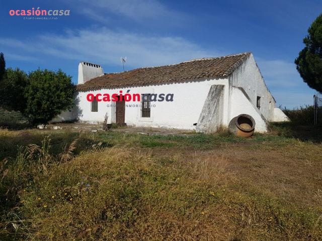 FINCA DE 150 HA EN ESPIEL