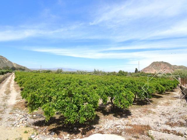 Finca de 15.000 m² situada al pie de Mojácar Pueblo en un en. 350m² Mojácar
