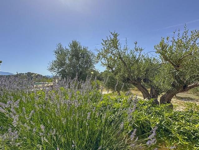 Finca de 18 hectáreas con villa reformada y autonomía energé. 514m² Torremanzanas