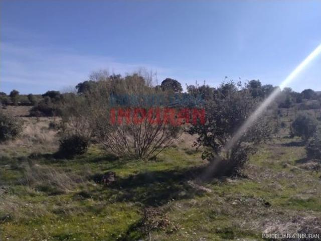 Finca de 32 hectáreas cerrada con malla cinegética, con encinas grandes y toda