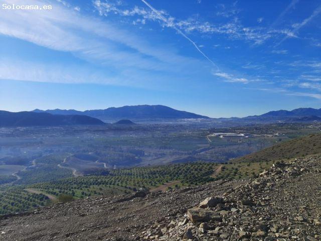Finca de aguacates en Málaga