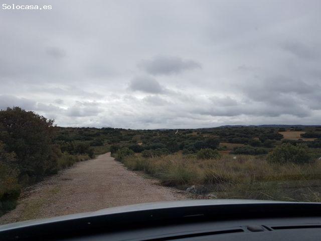 FINCA DE CAZA OSSA DE MONTIEL ALBACETE