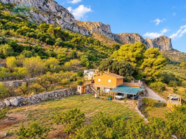 FINCA DE CEREZOS CON VIVIENDA EN LA VALL DE GALLINERA