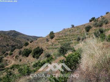 Finca de cultivo, Totalán, Málaga, Andalucía