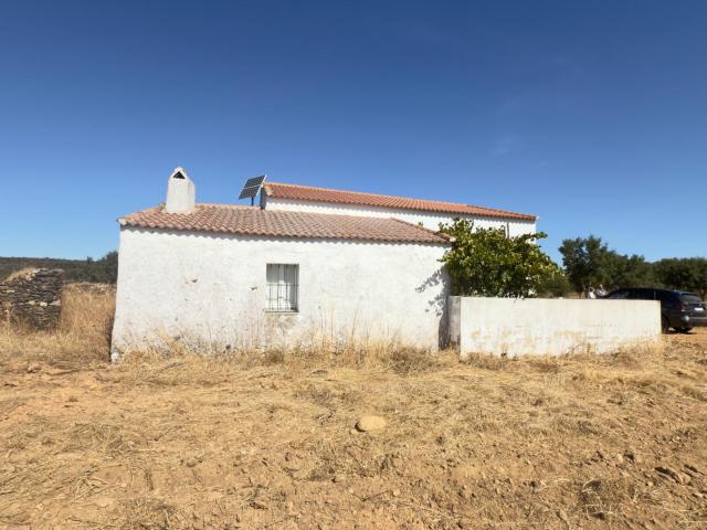 FINCA DE ENCINAR EN EL CERRO DEL ANDÉVALO