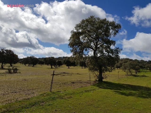FINCA DE ENCINAS CON CORTIJO Y NAVES