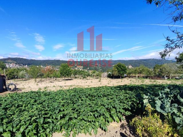FINCA DE MÁS DE TRES MIL METROS CUADRADOS EN SAN CIBRAO DAS VIÑAS