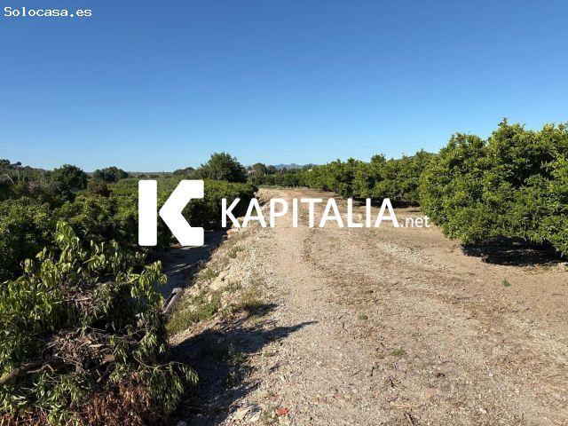 FINCA DE NARANJOS CON CASETA DE CAMPO A LA VENTA EN XATIVA