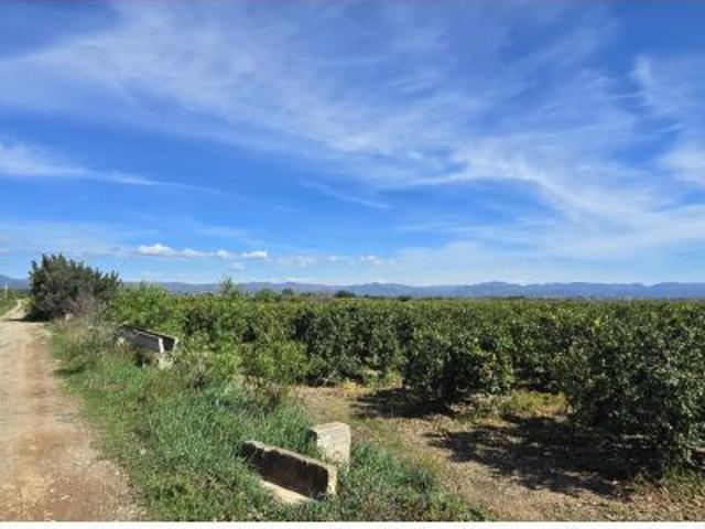 Finca de naranjos en venta Lliria
