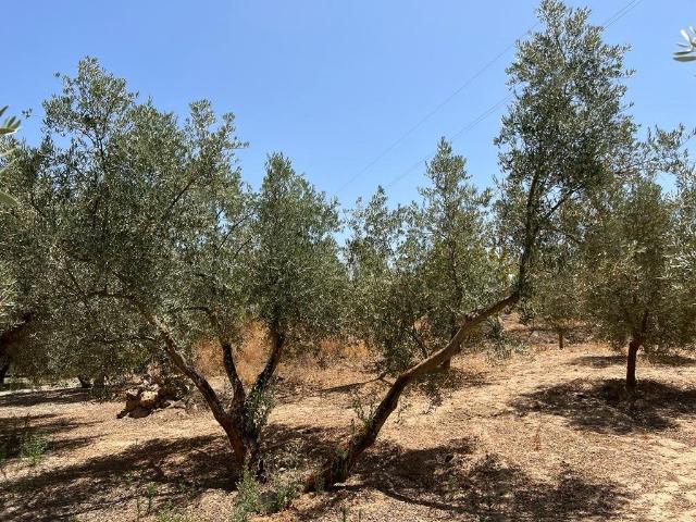 Finca de Recreo en Cozvijar