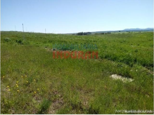 Finca de regadío con 14 ha en Alcolea de Tajo Toledo