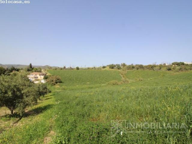 FINCA DE REGADIO CON VISTAS Y GRAN POTENCIAL EN CARTAMA