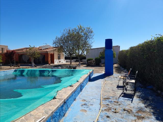 Finca de regadío con parras, casa y piscina