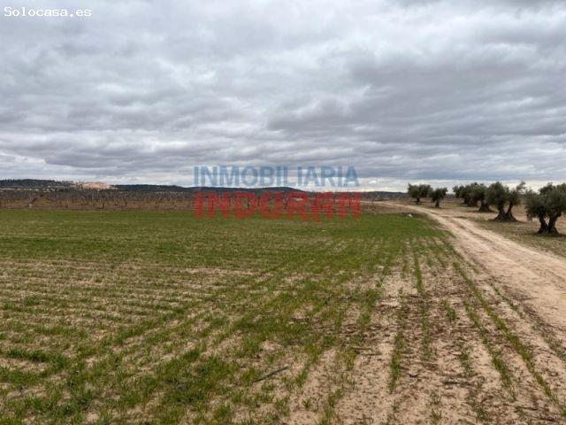 Finca de regadío en Aranjuez