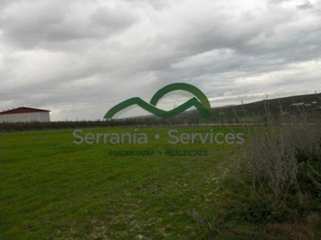 Finca Ecuestre 25.000m2, Casa130m2 & Casita