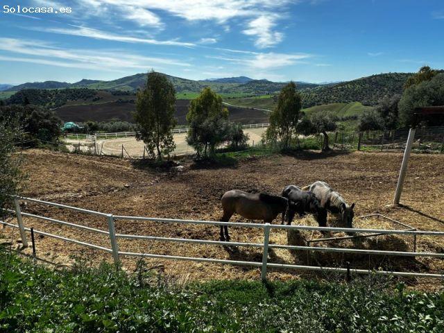 Finca Ecuestre de 13.5 hectáreas a 35 Minutos de Málaga
