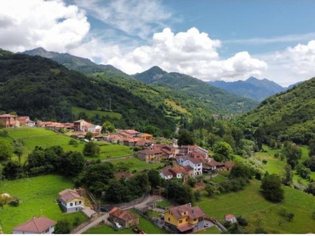 FINCA EDIFICABLE DE 2.173 m2 CON CUADRA Y PAJAR DE PIEDRA EN COLLANZO