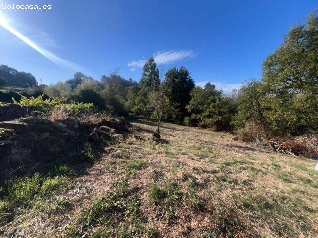 FINCA EDIFICABLE DE 735m2 EN XILFONXE CON CASA DE PIEDRA EN RUINAS