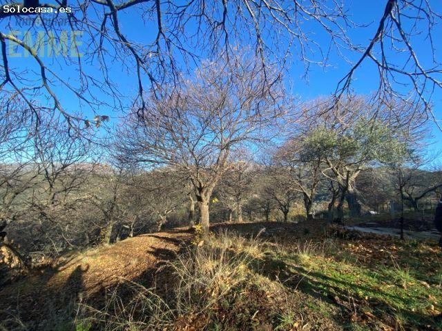 FINCA EN VALLE DEL GENAL