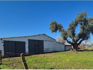 Carrascal del Obispo, Salamanca, Castilla y León, Castilla y León