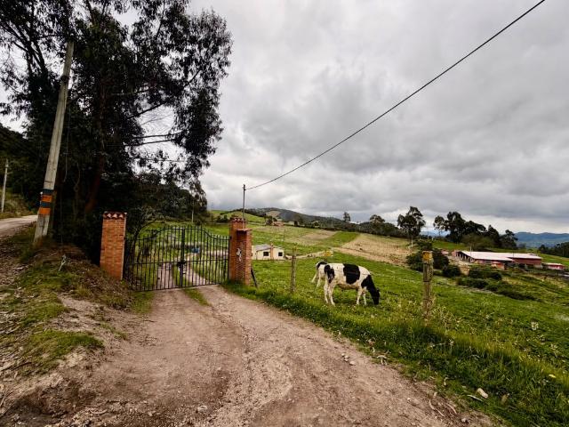 Finca En Venta En Tabio En Tabio V410041