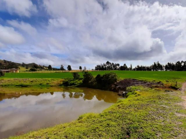 Finca En Venta En Tausa En. V188804