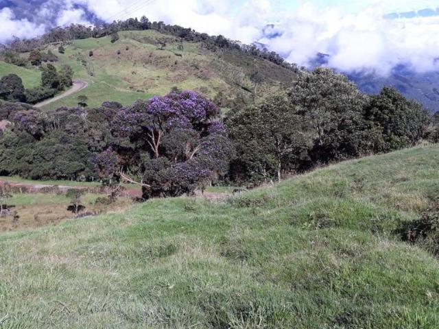 Finca En Venta En Tulua En. V199668