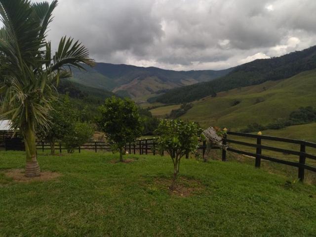 Finca En Venta En Urrao En. V220765