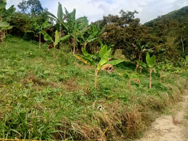 Finca En Venta En Viota V279553