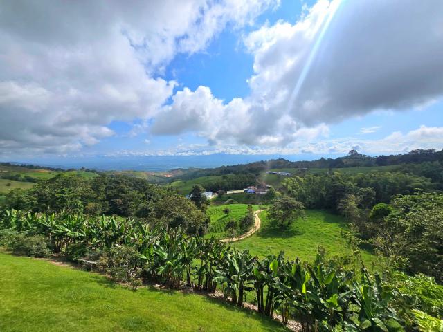 Finca En Venta En Yotoco En Vereda V330144