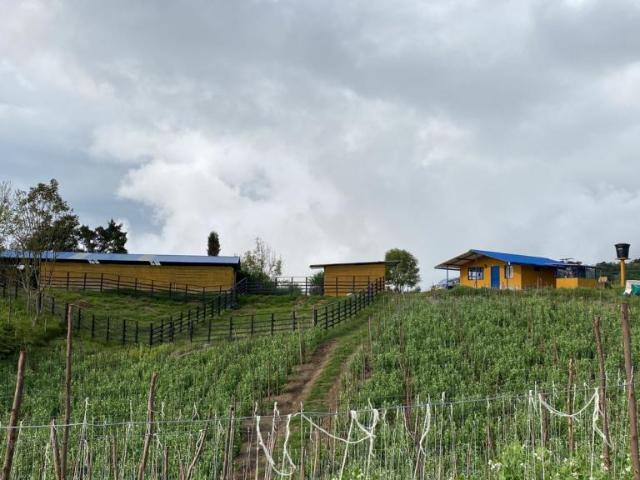Finca En Venta En Alban En Vereda Garbazal V226990