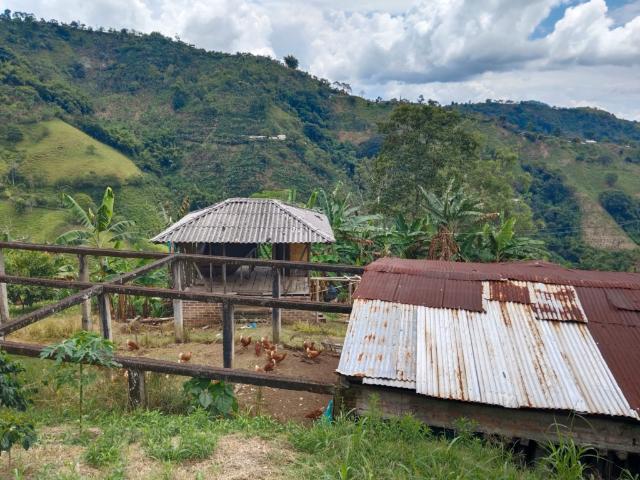 Finca En Venta En Balboa En Vereda Coco Hondo V287526