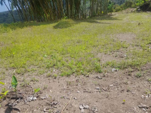 Finca En Venta En Belalcazar En Vereda El Madrono V343903