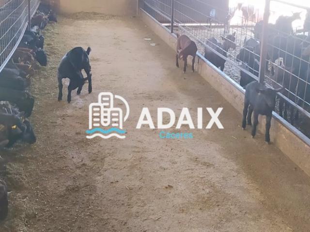 Finca en Venta en Brozas
