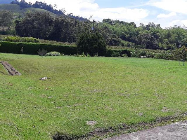 Finca En Venta En Calima En. V200102