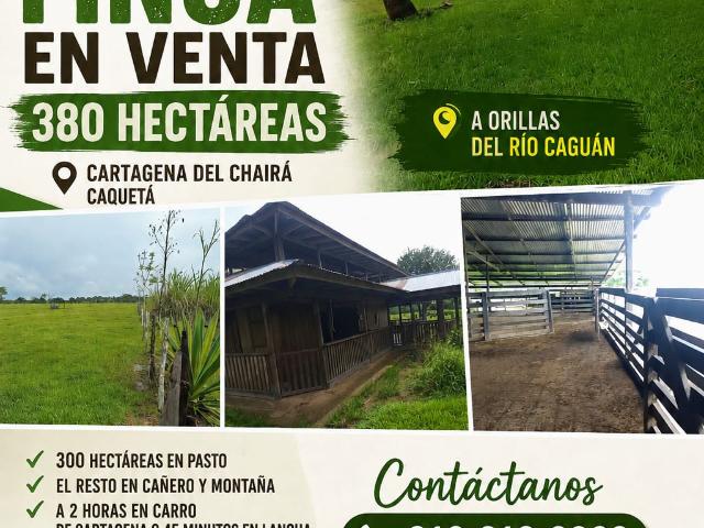 Finca En Venta En Cartagena Del Chaira En Cartagena Del Chaira V394461