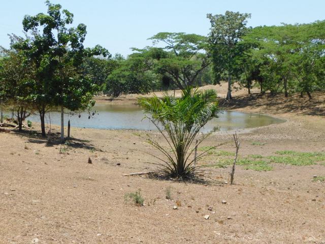 Finca En Venta En Cartagena En Bayunca V401578