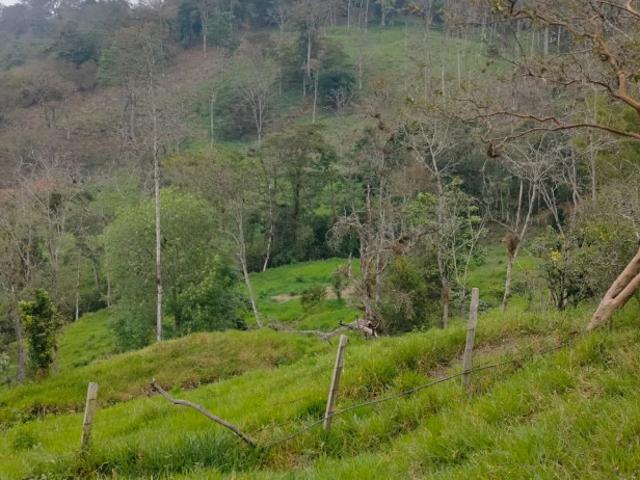 Finca En Venta En Chinacota En Chinacota V353593