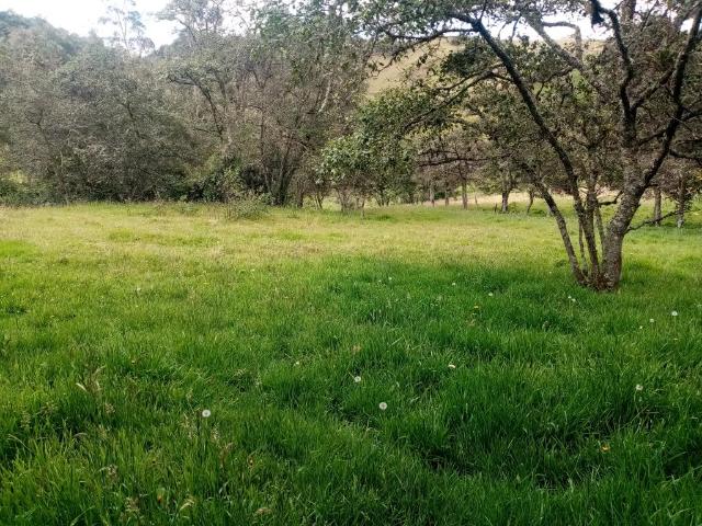 Finca En Venta En Combita En Combita V279115