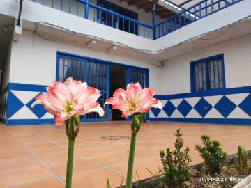 Finca En Venta En Cocorna En Vereda Mazotes V203935