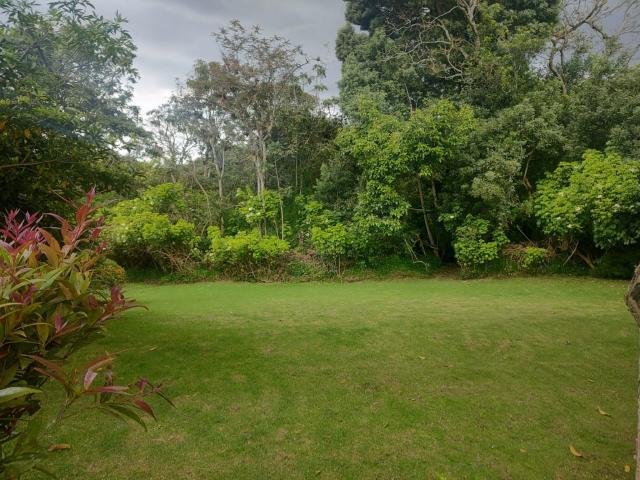 Finca En Venta En El Rosal V264999
